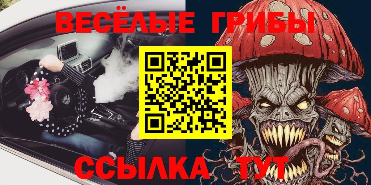 Псилоцибиновые грибы Psilocybine cubensis Донской