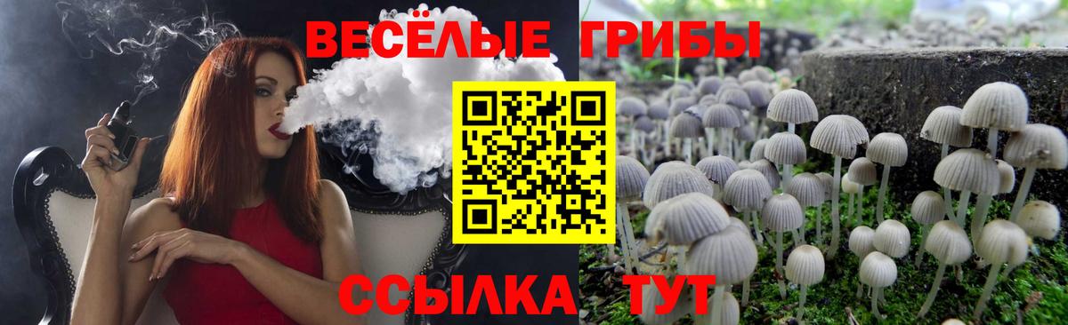 Галлюциногенные грибы мицелий  Вход с VPN  Донской  как найти закладки  Псилоцибиновые грибы GOLDEN TEACHER 